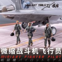 โมเดลฟิกเกอร์รูปทหารนักบินรบขนาดเล็ก1/48 F48001-007ของ Galaxy สำหรับสถานการณ์จำลองเครื่องบินรบการสร้างของเล่น DIY Hoy