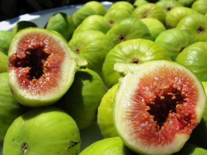 10-เมล็ด-เมล็ดมะเดื่อฝรั่ง-figs-สายพันธุ์-calimyrna-ของแท้-100-มะเดื่อฝรั่ง-หรือ-ลูกฟิก-fig-อัตรางอก-70-80-figs-seeds-มีคู่มือวิธีปลูก