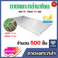 **ส่งฟรี**ถาดเพาะกล้านาโยน 561 หลุม จำนวน 500 ชิ้น ถาดเพาะกล้า ถาดเพาะต้นข้าว ถาดเพาะนาโยน เพาะกล้าข้าว  ถาดนาโยน