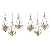 6 Pack Hanging Air Plant Holder Geometric Planter Air Plant Rack Tillandsia Hanger with Chain for Home Decor