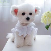 Princess Dog Dress Polyester Bow-knot Design Ruffled Sleeves Puppy Skirt Washable Easy-wearing Breathable Cat Dress For Teddy Dresses