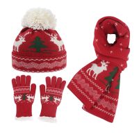 Winter New European And American Ladies Christmas Knitted Hooded Gloves Scarves Three -Piece Thick Wool Hat