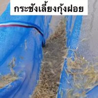 กระชังอนุบาลกุ้งฝอย ขนาด 1.8x2.5 เมตร