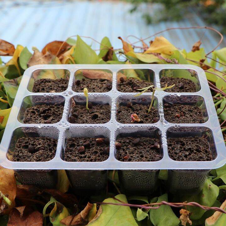 12-cells-seedling-box-planter-kit-seeds-germination-hydroponic-sponge-soilless-cultivation-growing-system-for-garden-nursery-pot