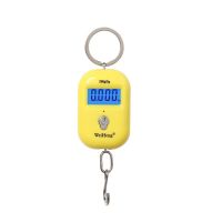 Mini Digital Scale Electronic 25Kg 5g Luggage Hook Pocket Hanging Fishing Scale LCD  Kitchen Steelyard Weight with Backlight Luggage Scales