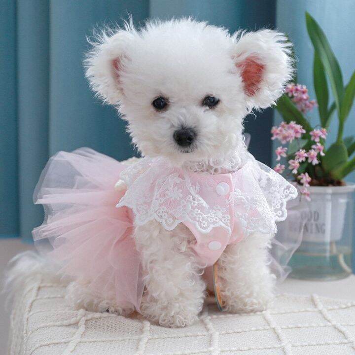 lace-wedding-pet-dress-for-small-dog-pink-white-party-girl-vest-shirt-cat-puppy-small-animal-clothes-with-tutu-skirt-xs-xl-goods-dresses