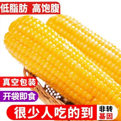 Fruit Instant Sweet Corn on The Cob Open Bag Meal Replacement Fat Reduction Snack 220g 4pcs