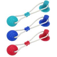 Dog Interactive Suction Cup Push TPR Ball Toys Elastic Ropes Dog Tooth Cleaning Chewing Playing IQ Treat Toys Pet Supplies Toys