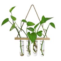 Wall Hanging Glass Terrarium Air Planter Holder Plant Hanger Flower Vase with Wooden Frame for Hydroponic Propagation Home Decor