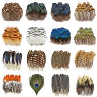 Natural Peacock Pheasant Feather Dream Catcher Feathers Party Carnival Holiday Handicraft Accessories Decor Jewelry Decoration