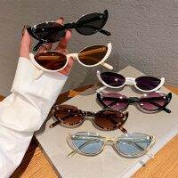 2023 New Small Cat Eye Sunglasses Women Trendy Vintage Composite Shades Eyewear Fashion Luxury Brand Designer Sun Glasses