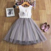 Girls Spring Lace Embroidery Princess Dress Kids Flower Fluffy Cake Smash Tutu Dress Children Wedding Birthday Party Costume