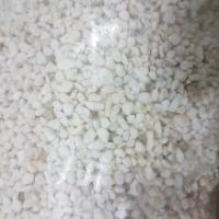 เพอร์ไลท์ ( Perlite) ผสม เวอร์มิคูไลท์ (Vermiculite) (อัตรา 6:1)  จำนวน 1 ลิตร