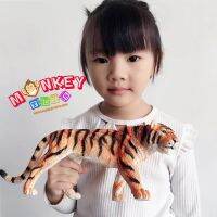 Monkey Toys - โมเดลสัตว์ Tiger เสือโคร่ง ขนาด 33.00 CM (จากหาดใหญ่)