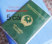 COMBO 5 vỏ bao hộ chiếu (passport) dẻo trong có khe đựng vé máy bay và các loại thẻ 5B132