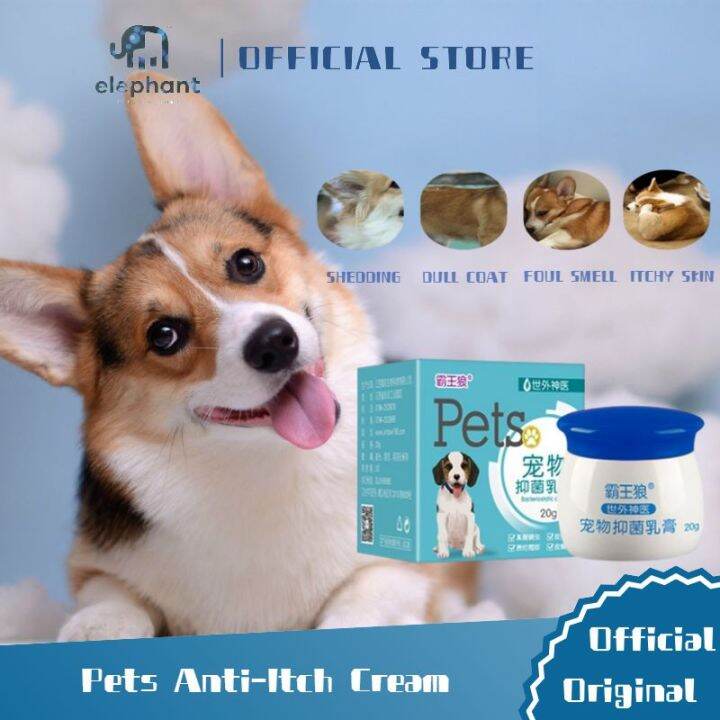 Elephant.Antifungal and Antibacterial Wound Cream for pets