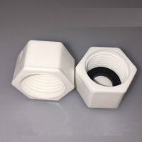 50pc/lot PPR Pipe Plugs 1/2 quot; BSP Female Thread Pipe Fitting End Cap Plug white with gasket