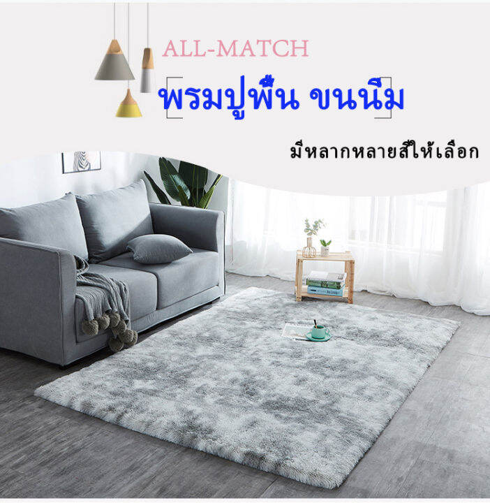 ขนกันลื่น-พรมปูพื้น-ปูเสื่อ-40x60cm-80x160cm-พรมปูพื้นห้องรับแขก-ห้องห้องนั่งเล่น-ห้องนอน