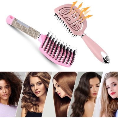 【CC】 Hairbrush Anti Klit Brushy Haarborstel Womens Hair Detangler Bristle Scalp Massage Tangle Teaser Comb