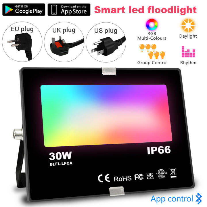 Flash LED Flood Light  30w Day Light  BA/ZR-TG008 main image 1