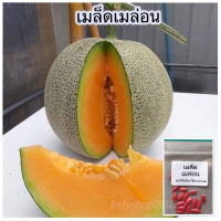 เมล็ดพันธุ์ เมล่อนญี่ปุน  เนื้อส้ม คัดพิเศษ 65 เมล็ด [ 10เเถม 1คละได้ ]