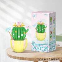 Block Bouquet Decoration Potted Prickly Pear Assembly Child