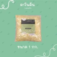 ผงลาโนลีน (Lanolin) ขนาด 1 กิโลกรัม