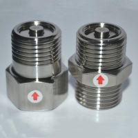 1/2 BSP NPT Male Female Thread 304 Stainless Steel Sanitary One Way Non Return Check Valve High Temperature Resistant