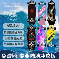 Spot parcel post Land Board Sibatu Land Surfboard Skateboard Fish Board CX4 Beginner Surfing Skiing Practice Simulation Surfing