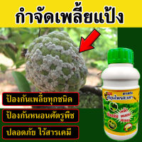 ?เห็นผลจริง? ยาไล่เพลี้ย ยาไล่เพลี้ยแป้ง สารสกัดสมุนไพร (ปลอดภัย 100%) ยาฆ่าเพลี้ย กำจัดเพลี้ย กำจัดหนอน  กำจัดศัตรูพืช ยาฆ่าเพลี้ยหอย ยาฆ่าเพลี้ยอ่อน ยาฆ่าแมลงเพลี้ย ยาแก้เพลี้ยหอย ยาแมลงเพลี้ยไก่แจ้