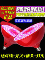 รุ่นใหม่ led โคมไฟสด, โคมไฟหมู, เนื้อสดเย็น, โคมไฟอาหารทะเลเนื้อตุ๋น, โคมระย้าผลไม้พิเศษสำหรับอาหารสำเร็จรูป .