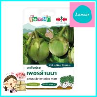 เมล็ดพันธุ์มะเขือเปราะ เพชรล้านนา ศรแดงTHAI EGGPLANT (ROUND) SEEDS PETCH LANNA SORNDAENG **ใครยังไม่ลอง ถือว่าพลาดมาก**