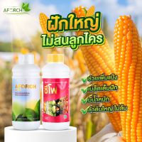 ปุ๋ยน้ำ สารนำพา ผลใหญ่ รสชาติดี ผลไม่ร่วงง่าย ชุดใหญ่ เอฟอชสารจับใบ 1,000 ซีซี และ ปุ๋ยน้ำซีโฟ 1,000 ซีซี