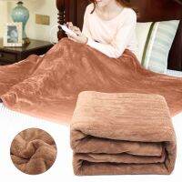 Electric Blanket Mat 220V Auto Electric Heated Blanket Mat Waterproof Heating Carpet 4 Gears timing Electric Mattress