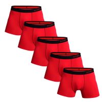 5pcs Pack 2023 Men Panties Cotton Underwear Male Brand Boxer And Underpants For Homme Luxury Set Sexy Shorts Box Slip Kit Gym