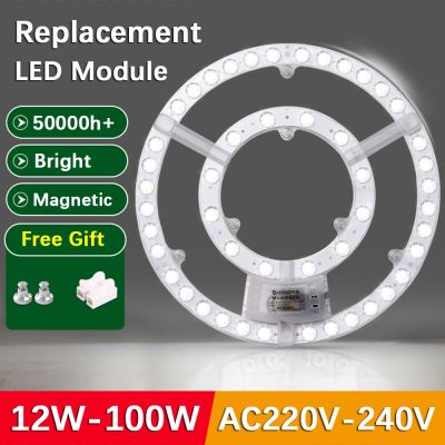 LED Ceiling Light Module 220V Replacement LED Light Board Round Ring LED Panel Energy Saving Retrofit Board 12W-100W Dimmable