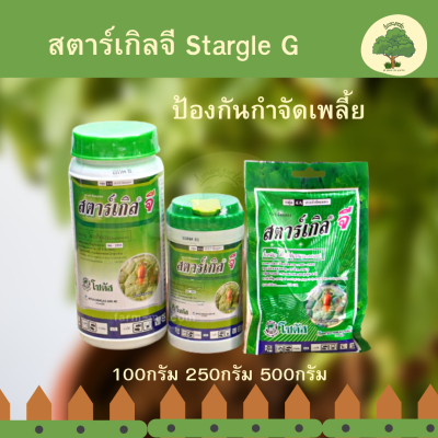 สตาร์เกิลจี สตาร์เกิลจีเม็ด S02 Stargle G ป้องกันกำจัดเพลี้ย ป้องกันกำจัดเพลี้ยแป้ง และแมลงปากดูดชนิดอื่น  100กรัม 250กรัม 500กรัม Aomoam-garden