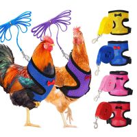 Fashion Chicken Duck Vest Hen Belt Pet Harness Matching Collars Bow Comfortable Leads Mesh Breathable Poultry Supplies Leash Leashes