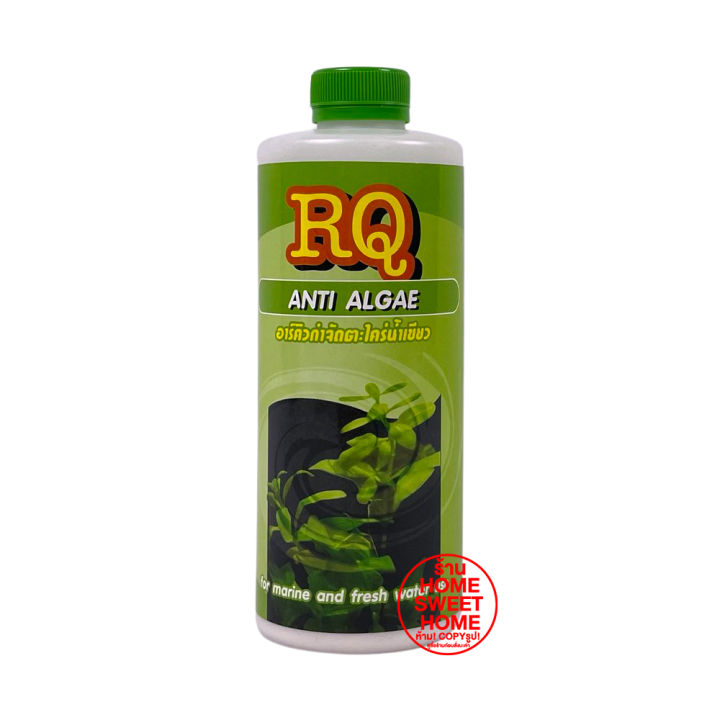 ค่าส่งถูก-rq-anti-algae-น้ำยากำจัดตะไคร่ตู้ปลาและบ่อปลา-แก้ปัญหาน้ำเขียว-น้ำยากำจัดตะไคร่บ่อปลา