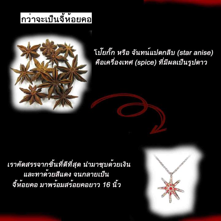 royal-orchid-สร้อยดอกไม้-จี้พร้อมสร้อย-จี้ดอกไม้-จี้สีแดง-สร้อยคอ-สร้อยคอสีแดง