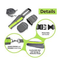 Pet Dog Cat Elastic Reflective Belt Running Jogging Leash Set Leash Collar Pet accessories Puppy Harness Walking Training