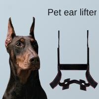 Dog Ear Stand Ear Correction Fixation Tool Doberman German Shepherd Vertical Ear Dedicated Dog Accessories Dog Ear Lifter