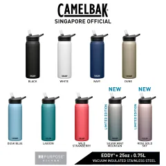 Eddy+ 25oz Water Bottle, Insulated Stainless Steel