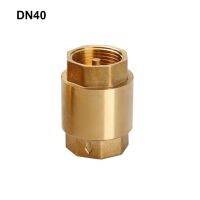 Spring Check Valve Non-return Cap Compact Size Factory In-Line Valves