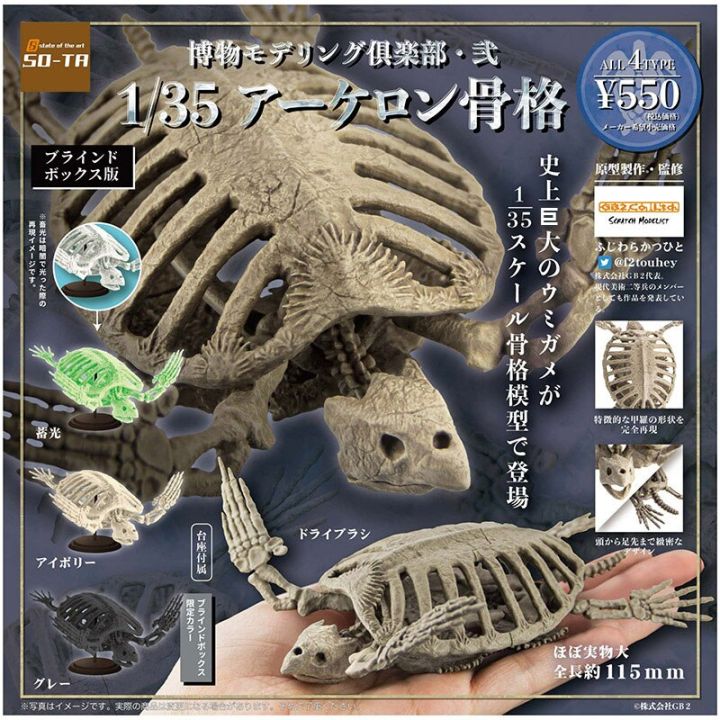 so-ta-gashapon-หุ่นแคปซูล1-35อาร์เชลอนกระดูกเต่าทะเลโครงกระดูกแอคชั่นพิพิธภัณฑ์-gachapon
