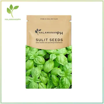 Shop Sweet Basil Seed online Lazada .ph