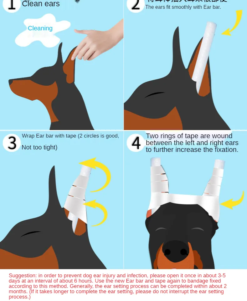 how long to wrap doberman ears