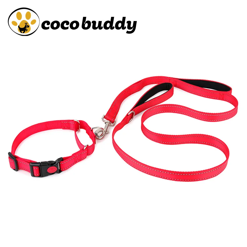 Elastic dog outlet collar