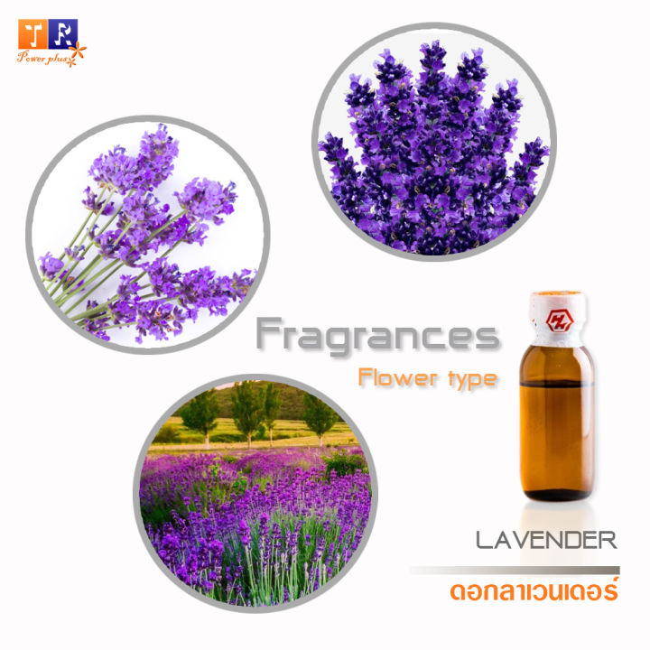 หัวน้ำหอมกลิ่น-fw20-flower-lavender-2779-ดอกลาเวนเดอร์-ปริมาณ-25กรัม