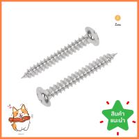 สกรูเกลียวปล่อย TP DEXZON 6X1 นิ้ว 30 ตัวSELF-TAPPING SCREW TP DEXZON 6X1IN 30PCS **ใครยังไม่ลอง ถือว่าพลาดมาก**